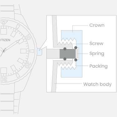 Watch with crown, screw, spring, packing, and watch body components.