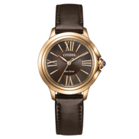 EM1163-09X