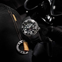 BN1024-01E Prof. Diver 300