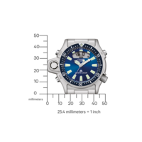 JP2000-67L Promaster Diver