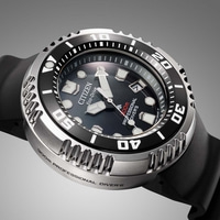 BN1024-01E Prof. Diver 300