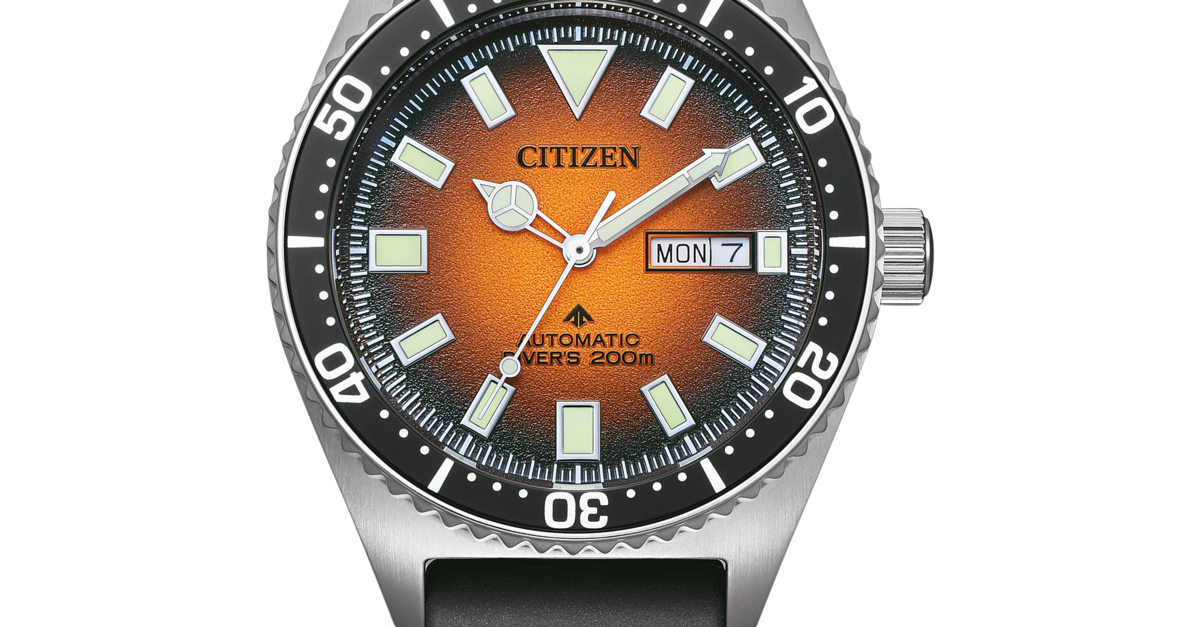NY0120-01ZC PROMASTER Mechanical Diver Citizen Onlineshop