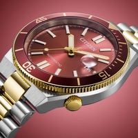 NJ0234-58X Male Stainless steel red ⌀ 40mm