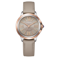 EM1166-01Z Citizen L