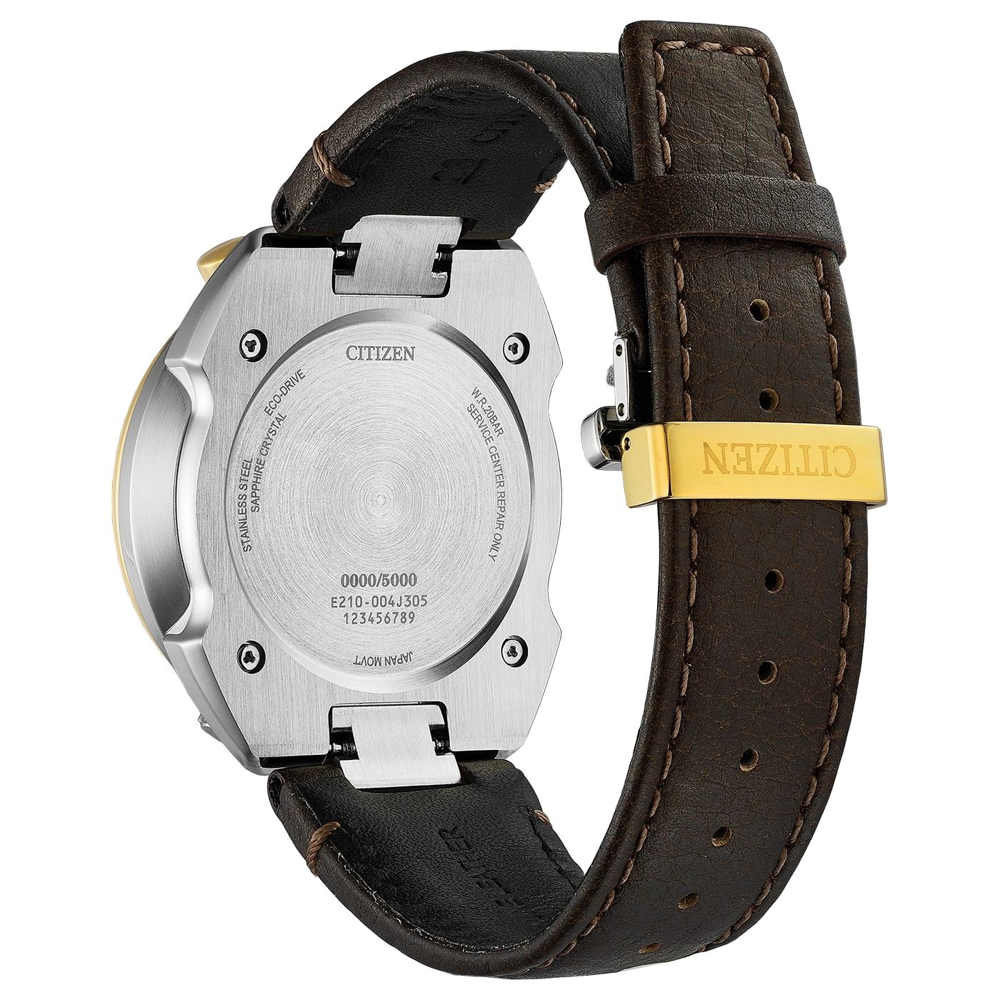 Back of a Citizen Eco-Drive watch with a leather strap and gold buckle.