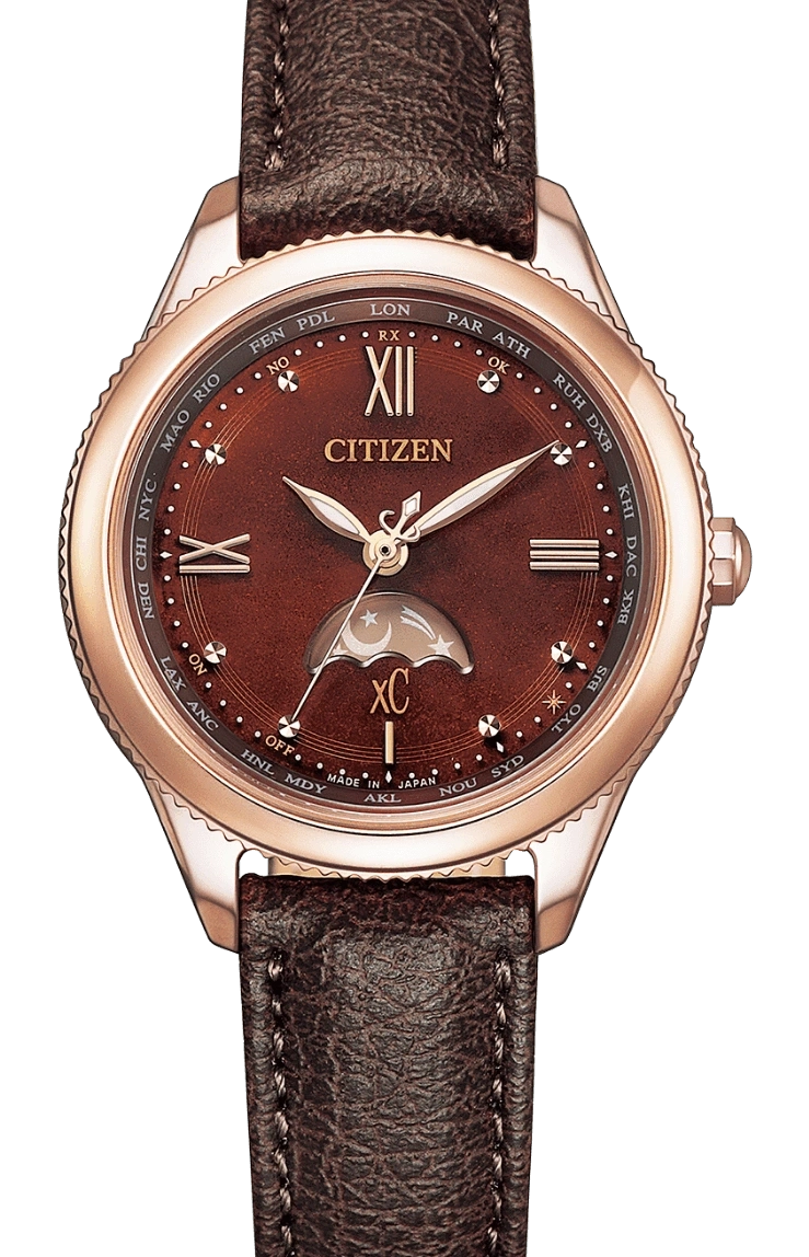 Citizen watch with brown leather strap and world time function, elegant design.