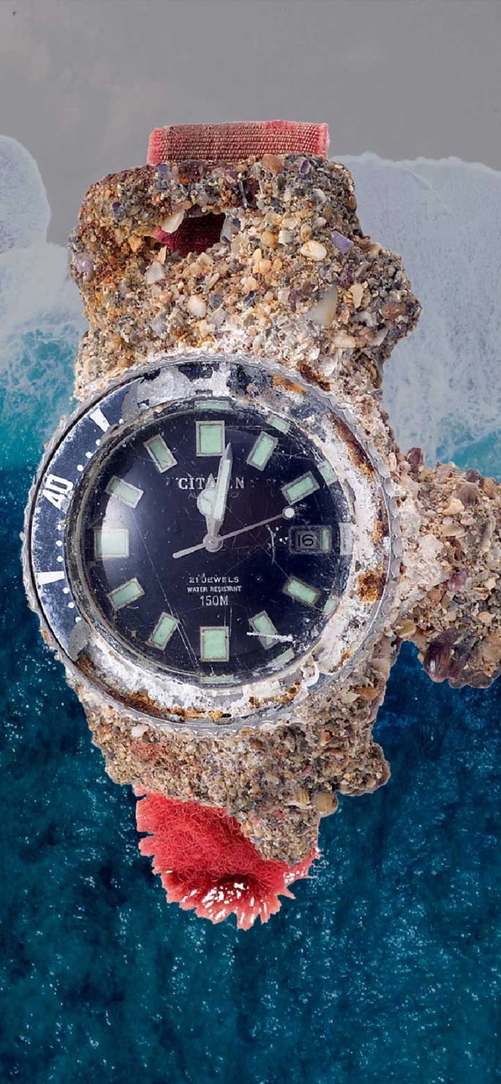 Citizen watch encrusted with marine life, showing the time and date.