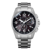 CB5920-86E Promaster Land