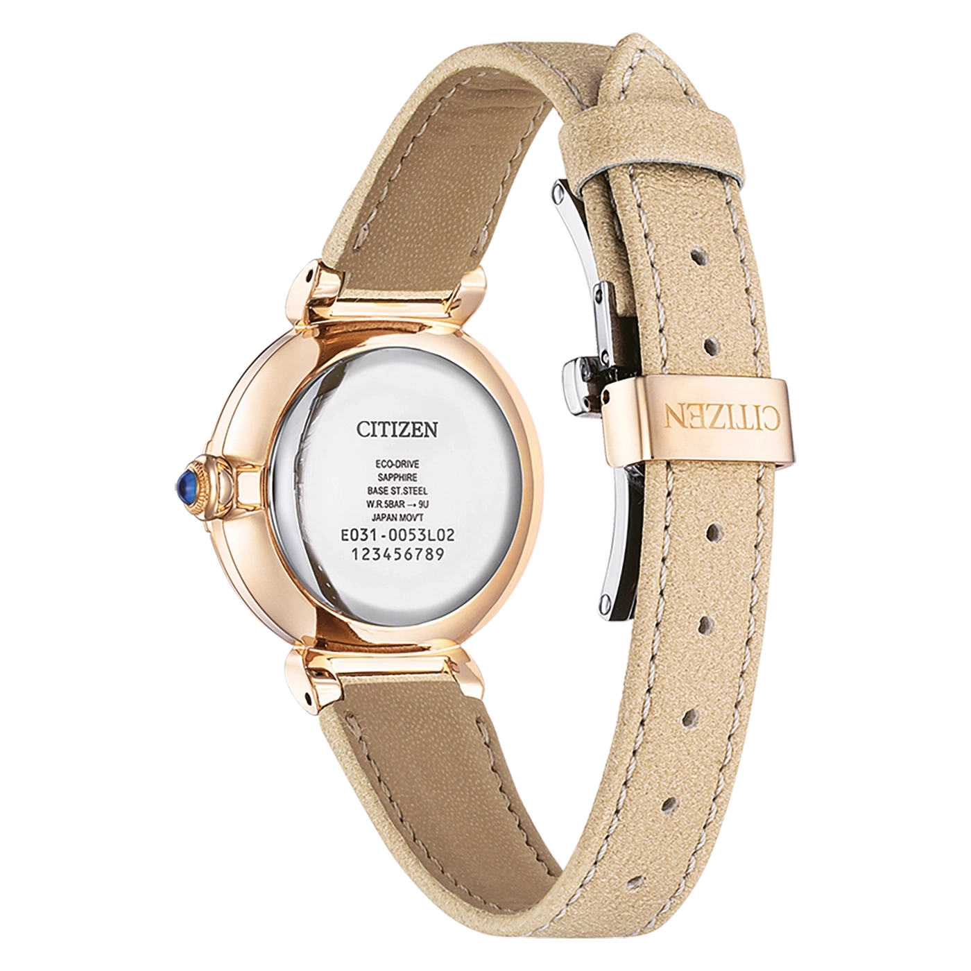 Citizen watch back with details: Eco-Drive, Sapphire, Base ST.Steel, Japan Movt.