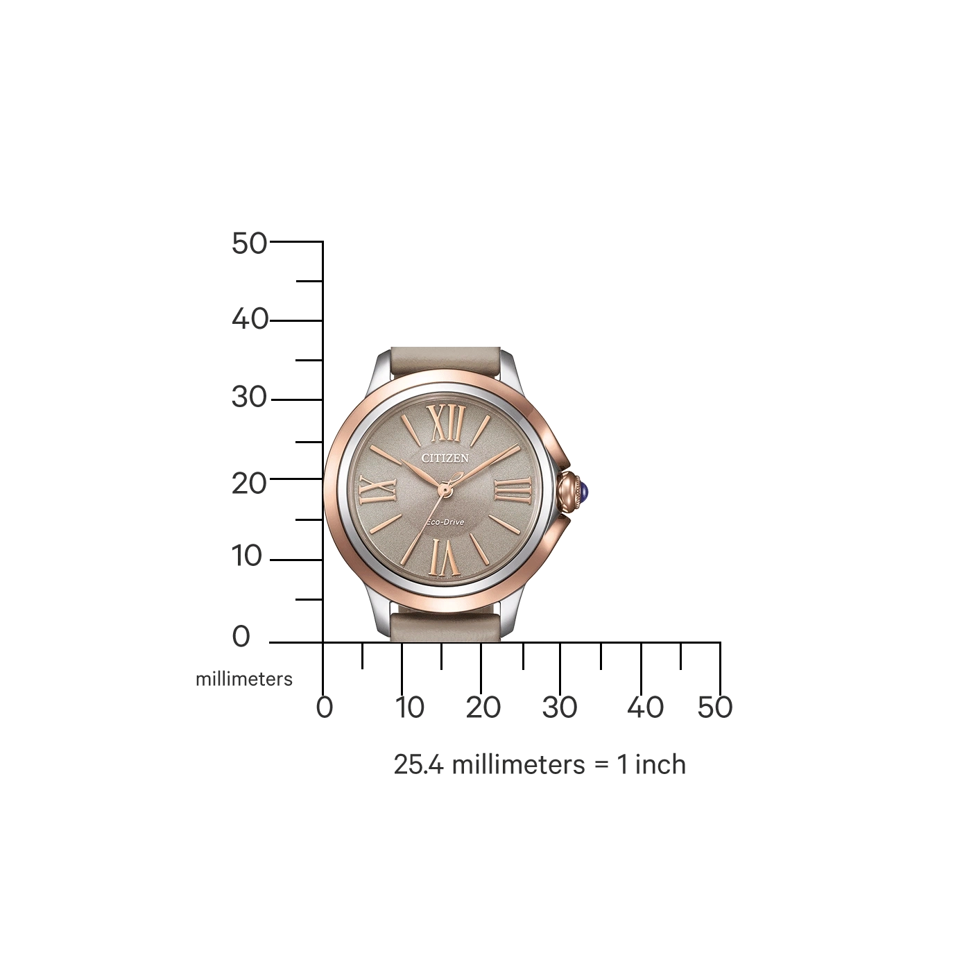 Citizen watch with a measurement scale, showing size in millimeters and inches.