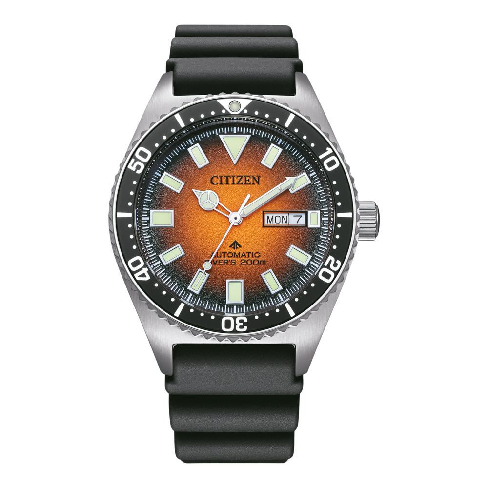 NY0120-01ZE PROMASTER Mechanical Diver