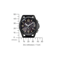 CB5925-15E Promaster Land