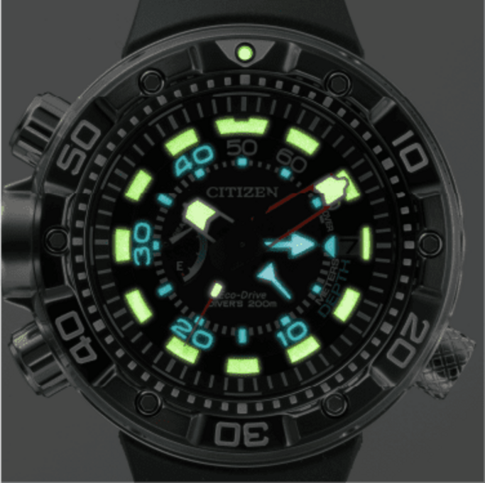 Close-up of a Citizen Eco-Drive dive watch with luminous hands and markers, black bezel.