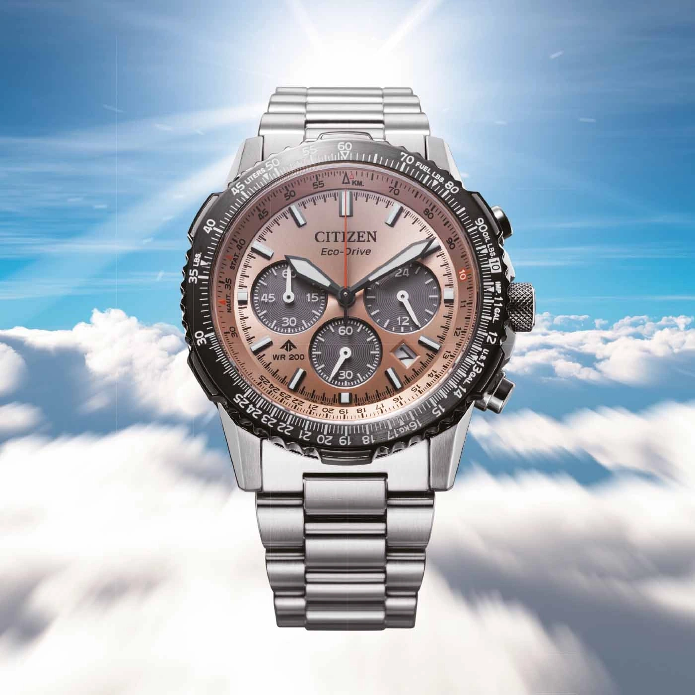 CA4664-60X Male Stainless steel brown ø 40mm Citizen Onlineshop