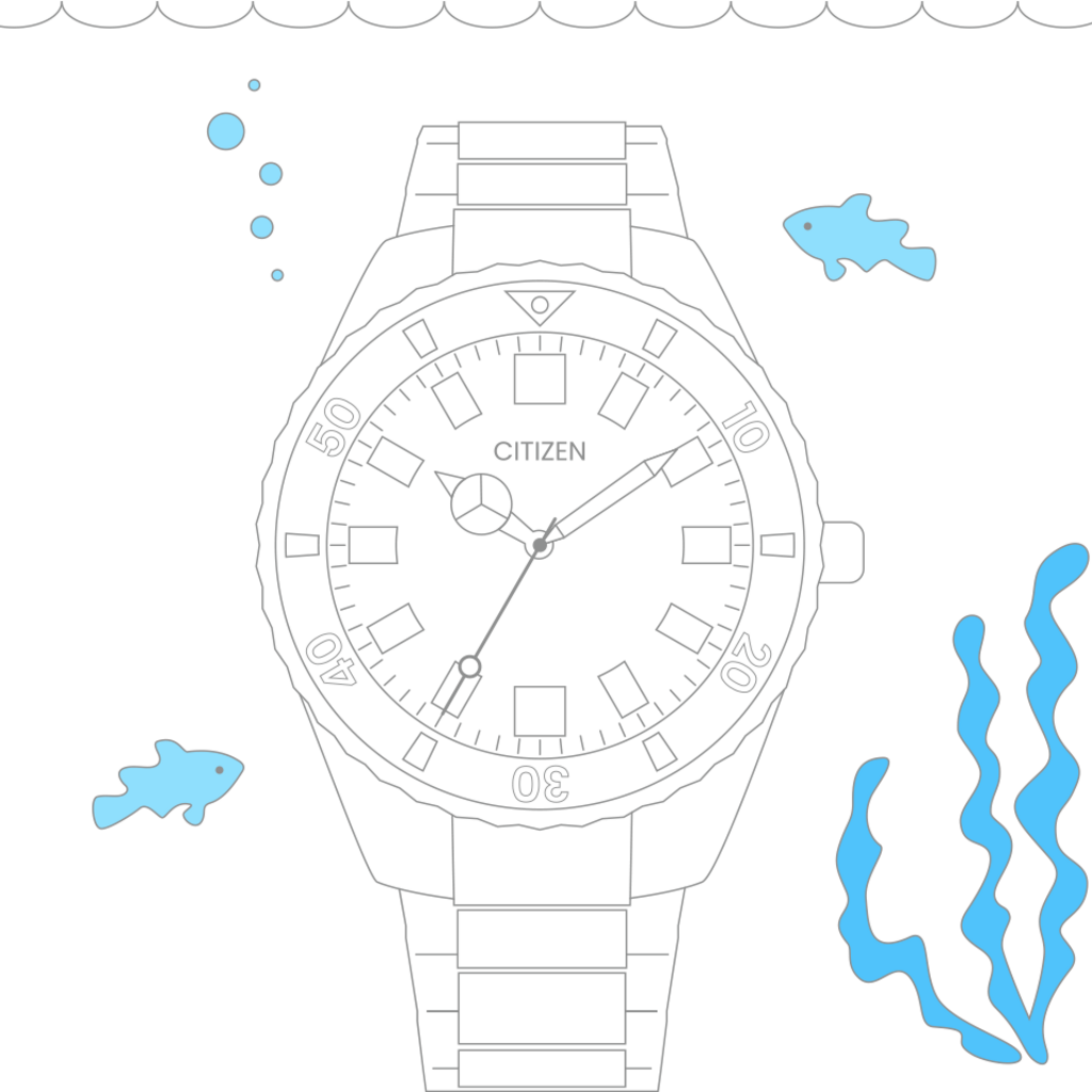 Diver's Watches - 