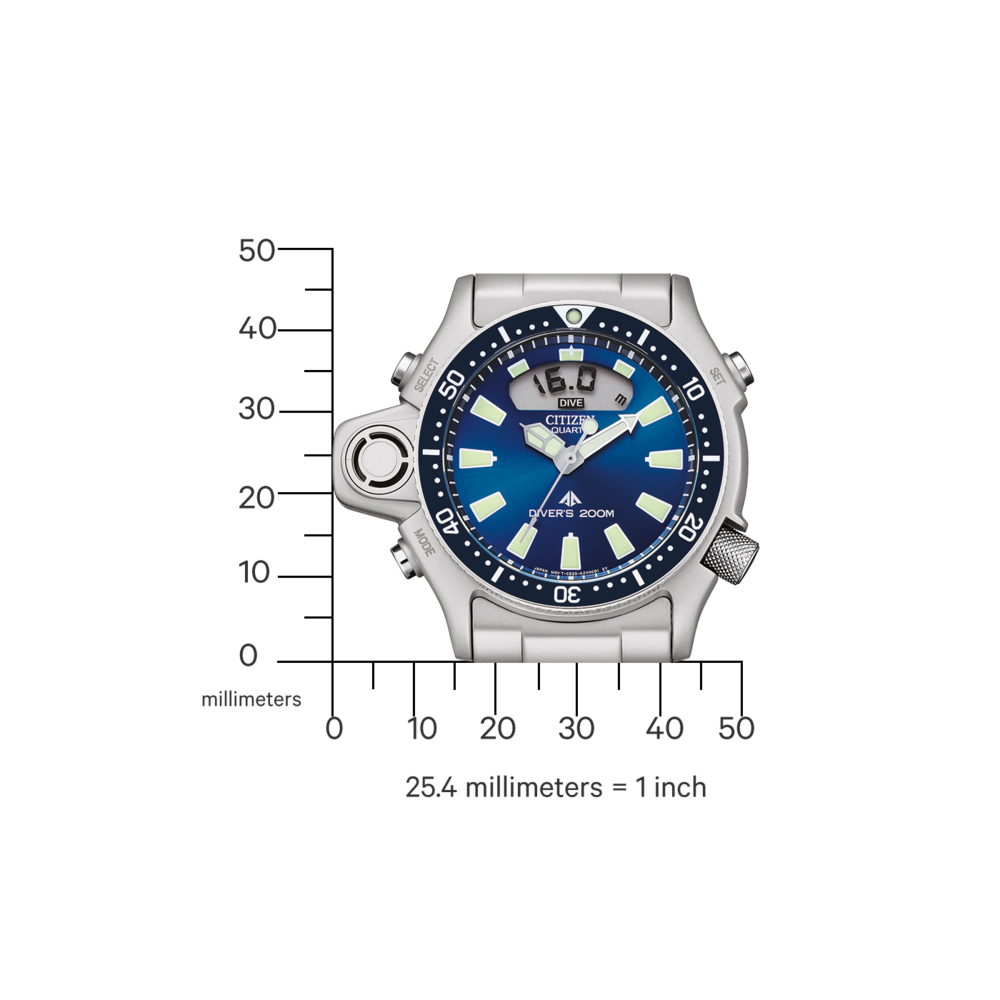 JP2000-67L Promaster Diver