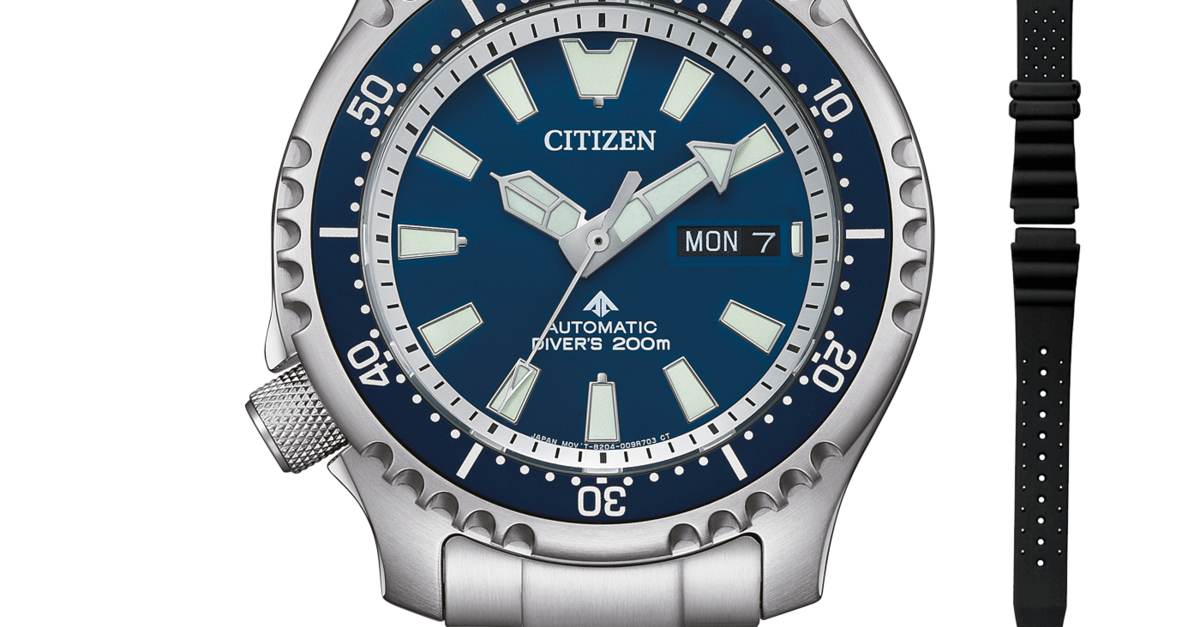 NY0161-63LE Promaster Marine Citizen Onlineshop