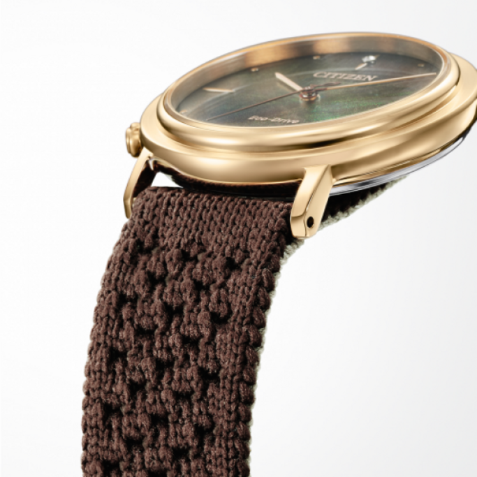 Close-up of a gold watch with a brown woven strap, Citizen Eco-Drive.