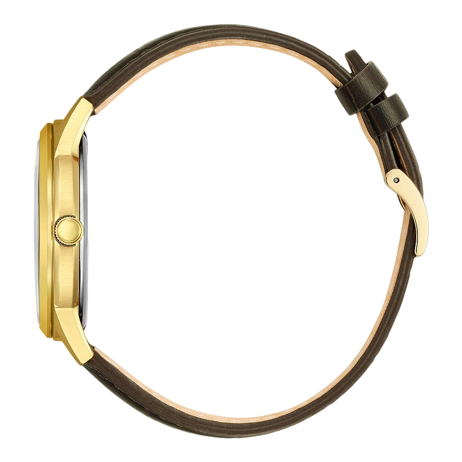 Gold watch with brown leather strap, side view, elegant design