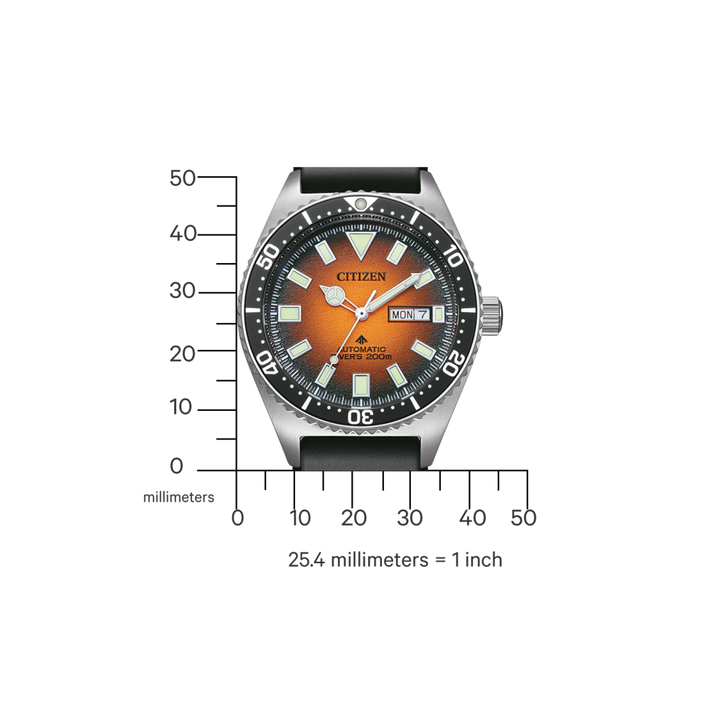 NY0120-01ZE PROMASTER Mechanical Diver