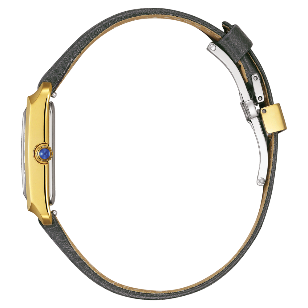 EW5622-09P Citizen L
