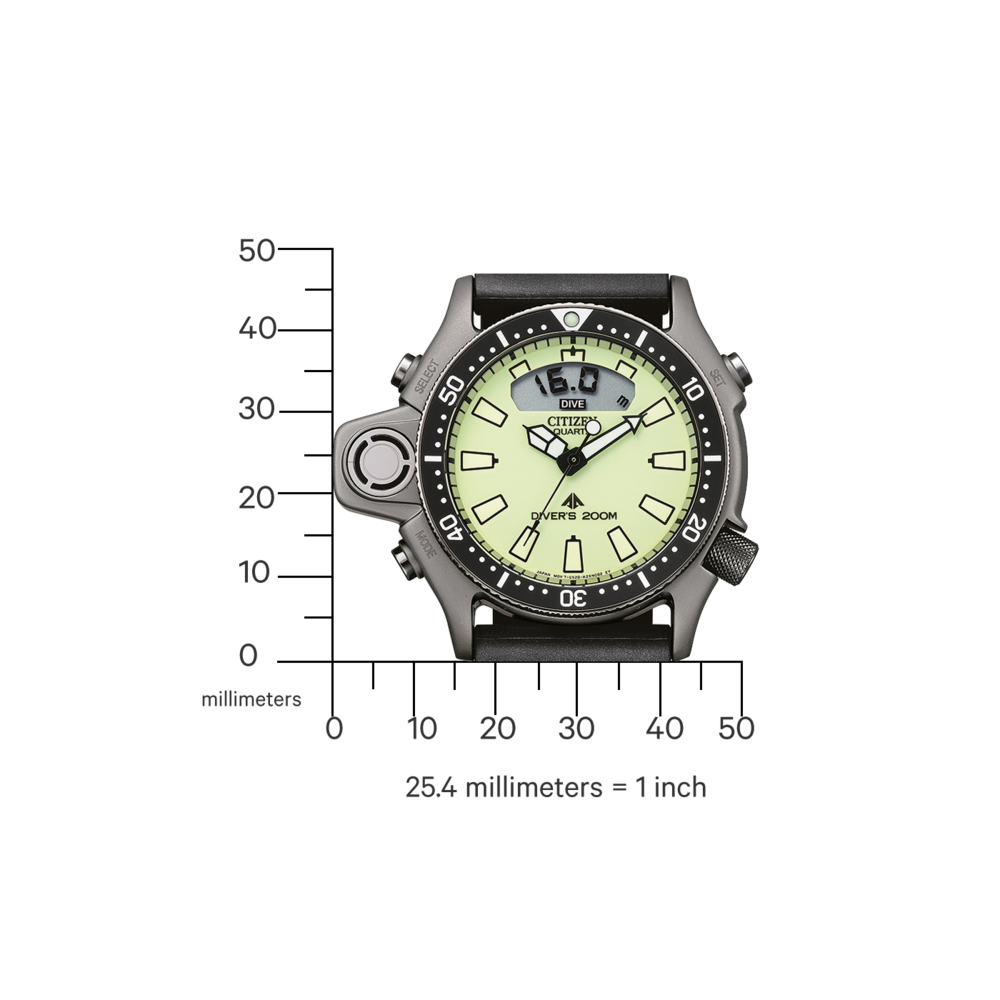 JP2007-17W Promaster Diver