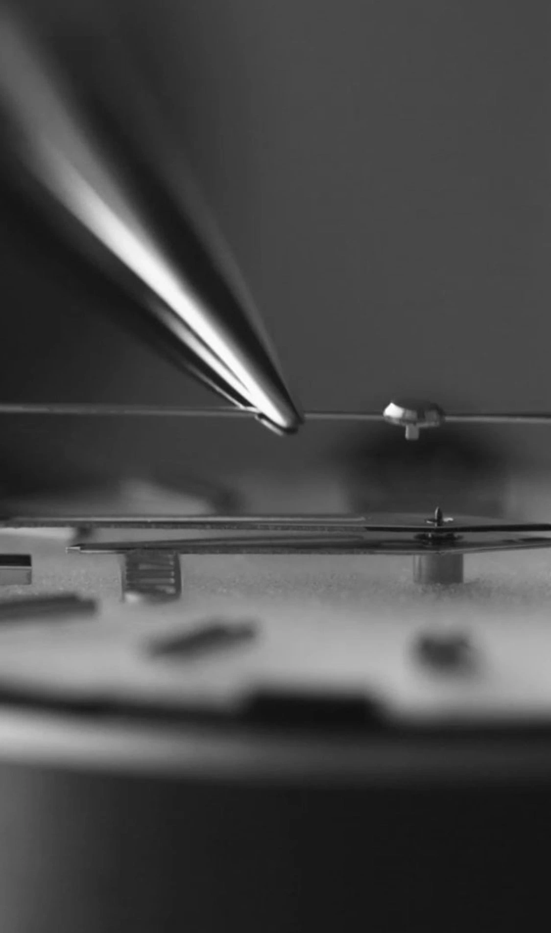 Close-up of watch mechanism with a tool, black and white, detailed.