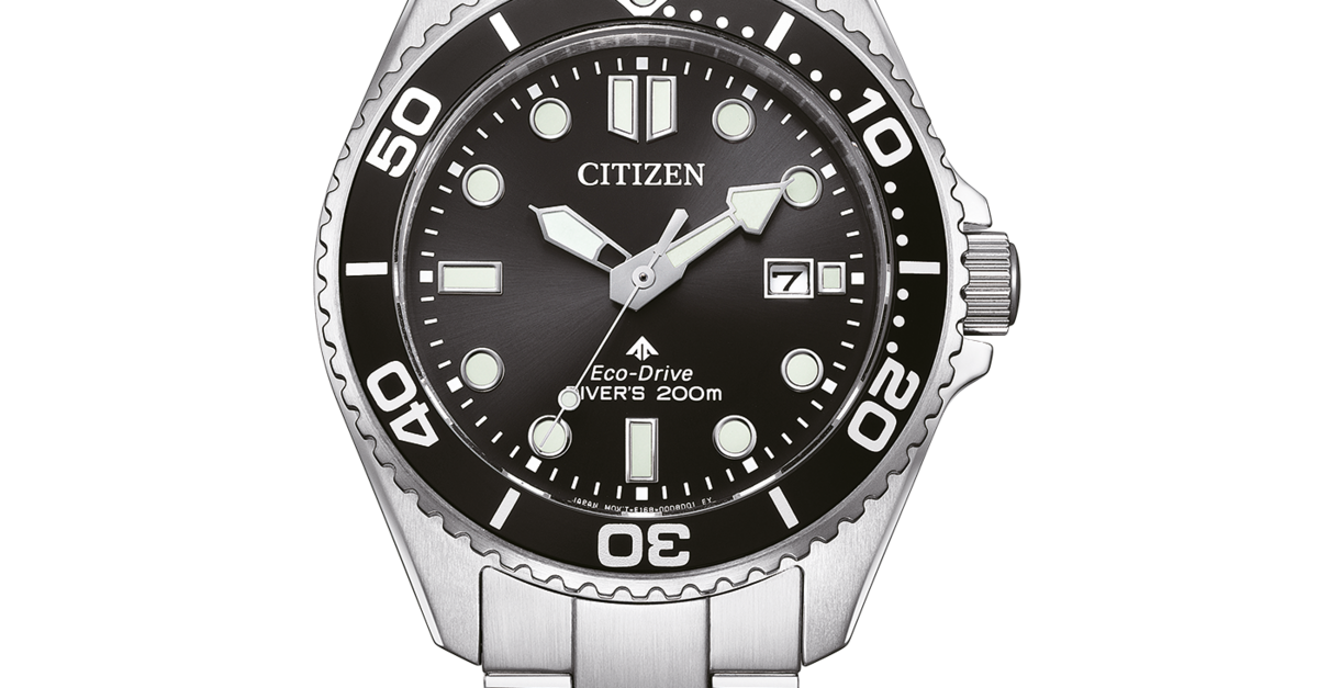 citizenwatch.eu