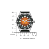NY0120-01ZE PROMASTER Mechanical Diver