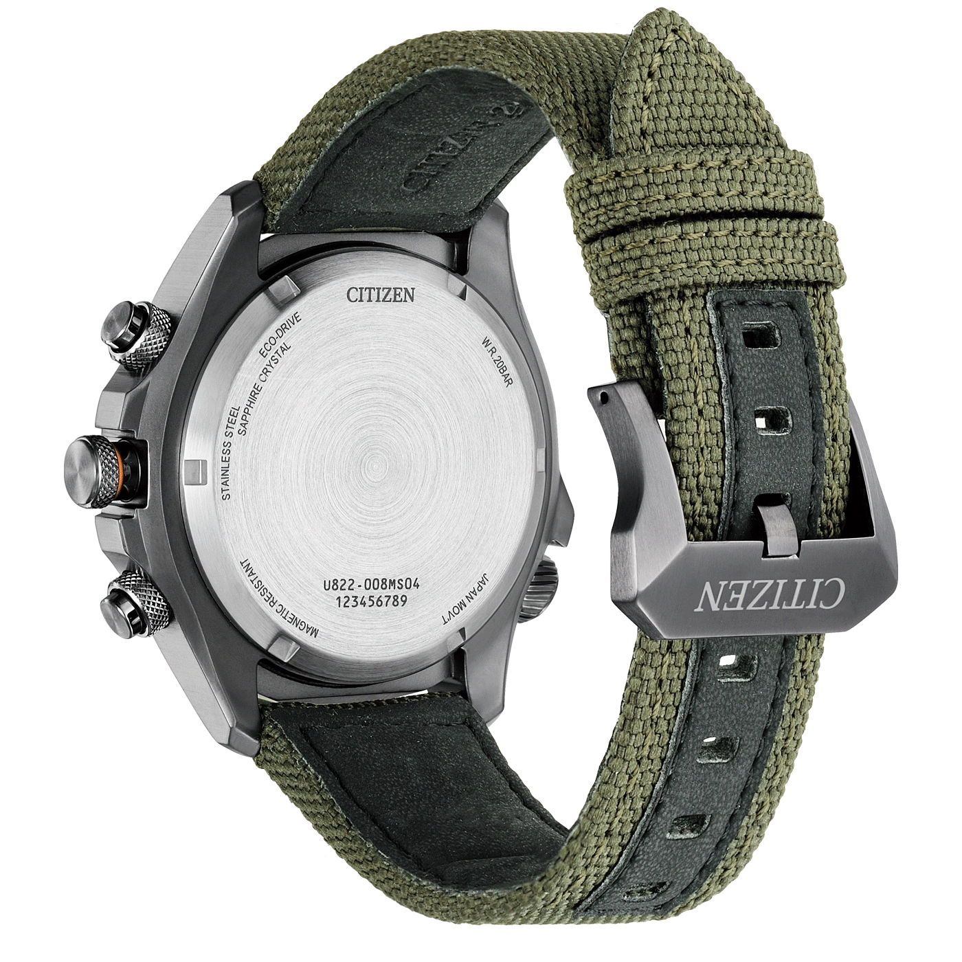 Citizen watch back with details: Eco-Drive, stainless steel, and strap.