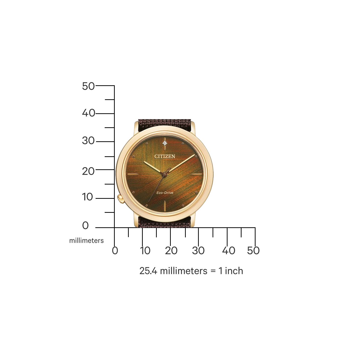 Citizen watch with gold case and brown strap, Eco-Drive, with scale in millimeters.