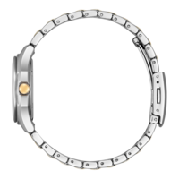 FE2116-85A