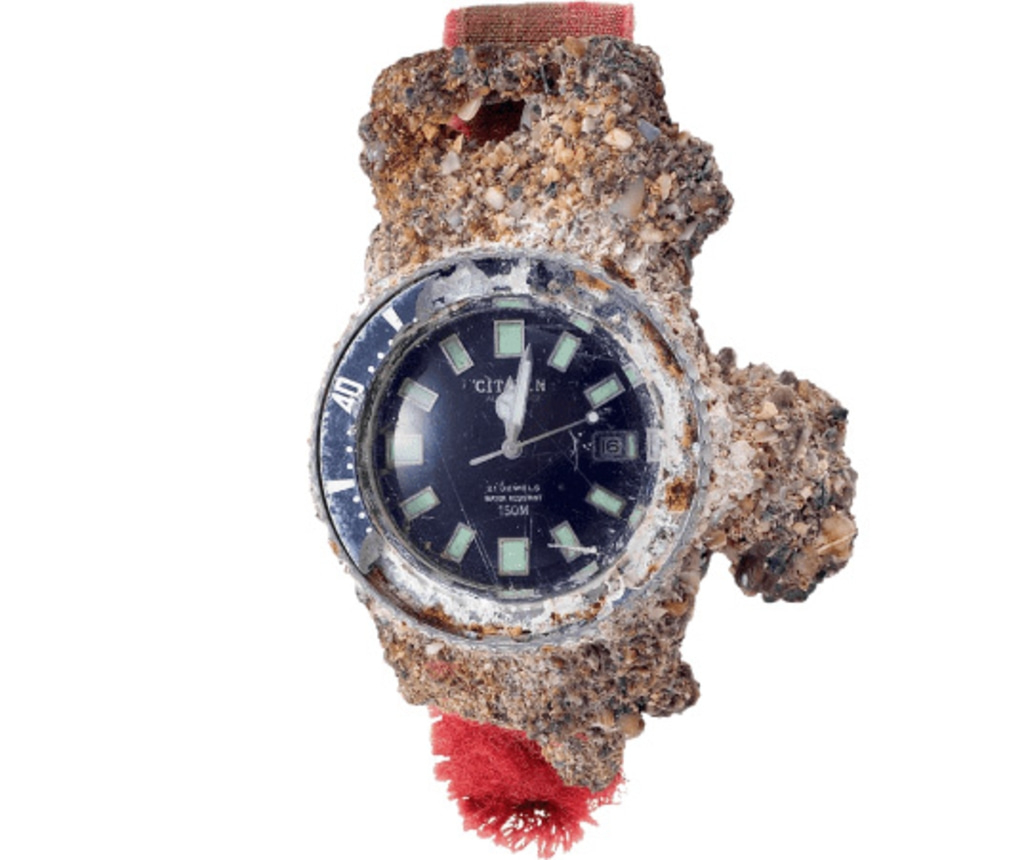 A weathered Citizen watch encased in a rock-like substance, with a black dial.