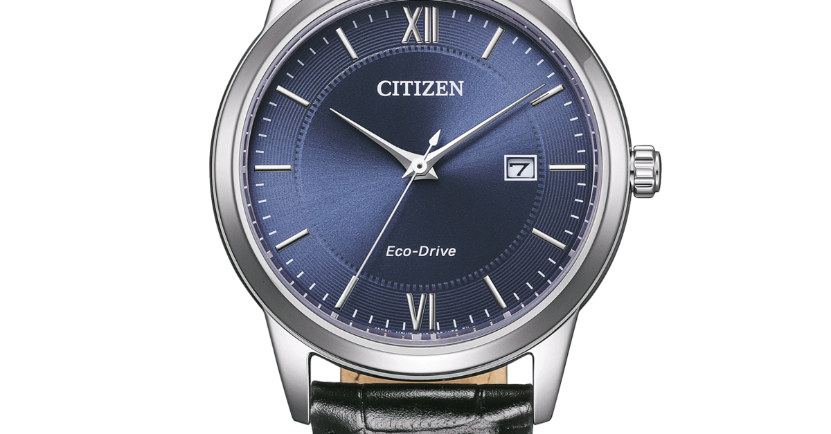 レオナルド 29.1940.679/21.C800 Zenith Pilot