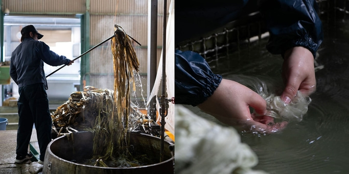 Seetangverarbeitung in einer Fabrik: Arbeiter, Wasser und Industrieausrüstung.