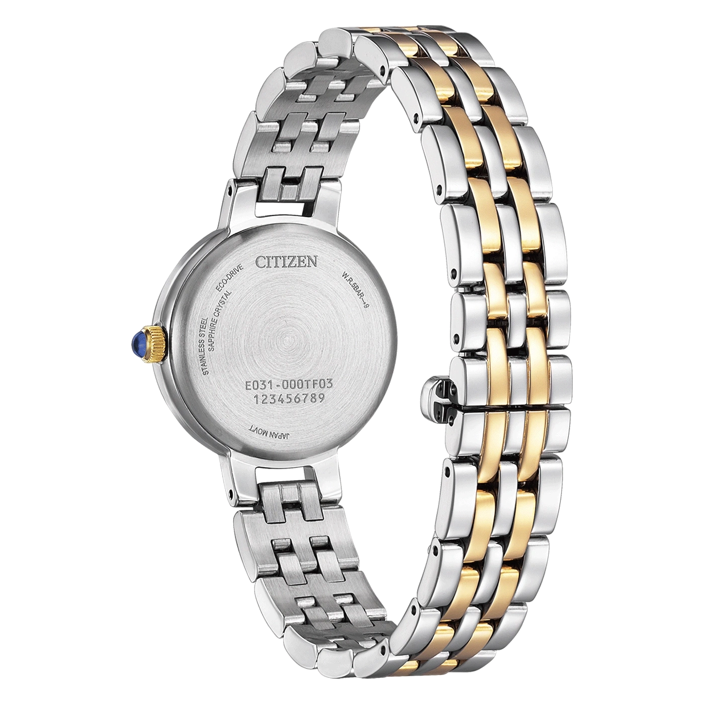 Citizen watch back, stainless steel, sapphire crystal, Eco-Drive, Japan movement, gold accents
