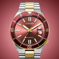 NJ0234-58X Male Stainless steel red ⌀ 40mm