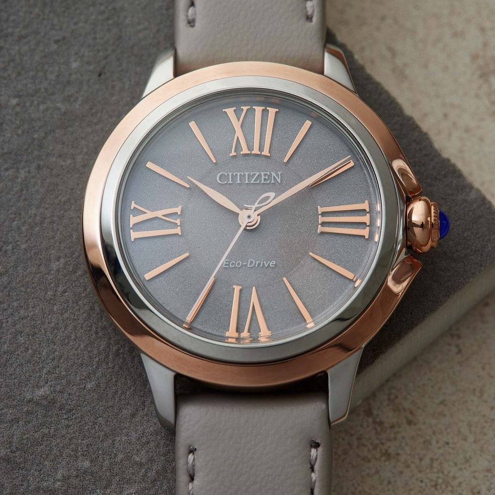 EM1166-01Z Citizen L