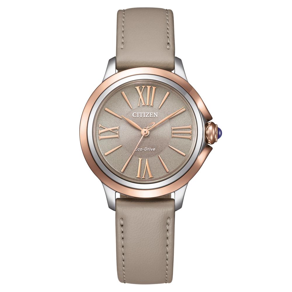 EM1166-01Z Citizen L