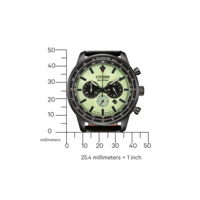 CA4505-21X