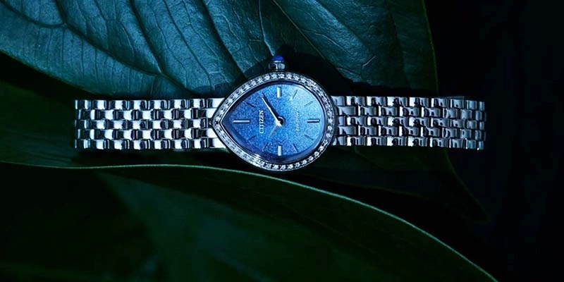 A silver watch with a blue dial on a green leaf
