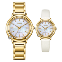 EM1092-64D