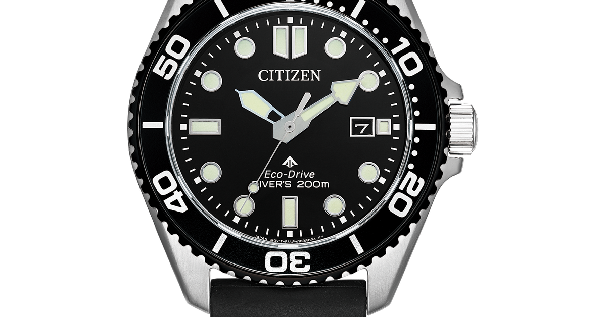 BN0266-07E Male Rubber band (urethane) | black | ø 40.55mm Citizen