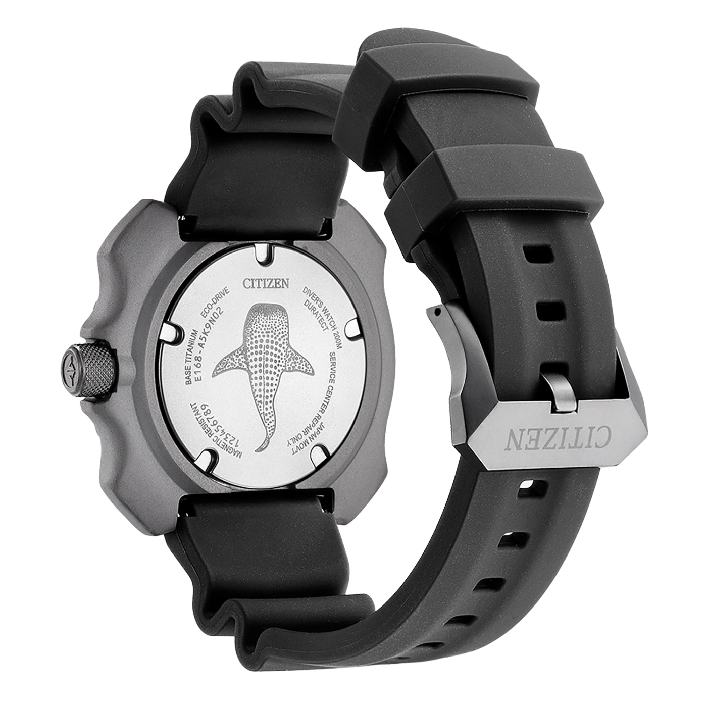 Citizen watch back, black strap, titanium, diver's watch, Eco-Drive, durable