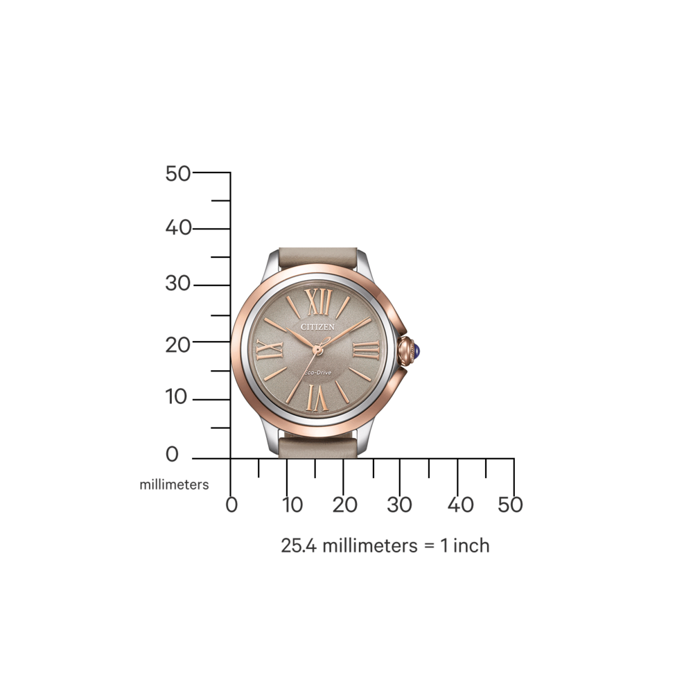 EM1166-01Z Citizen L