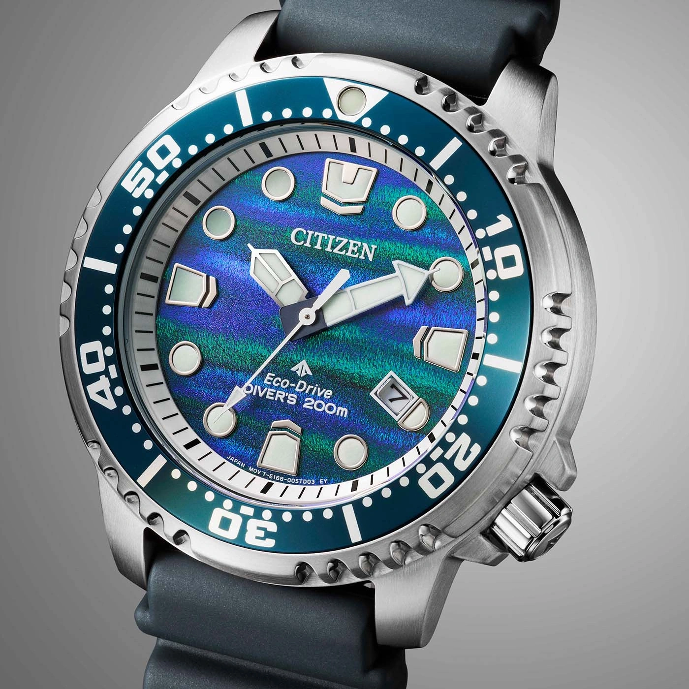 A close-up of a Citizen Eco-Drive diver's watch with a blue and green dial.