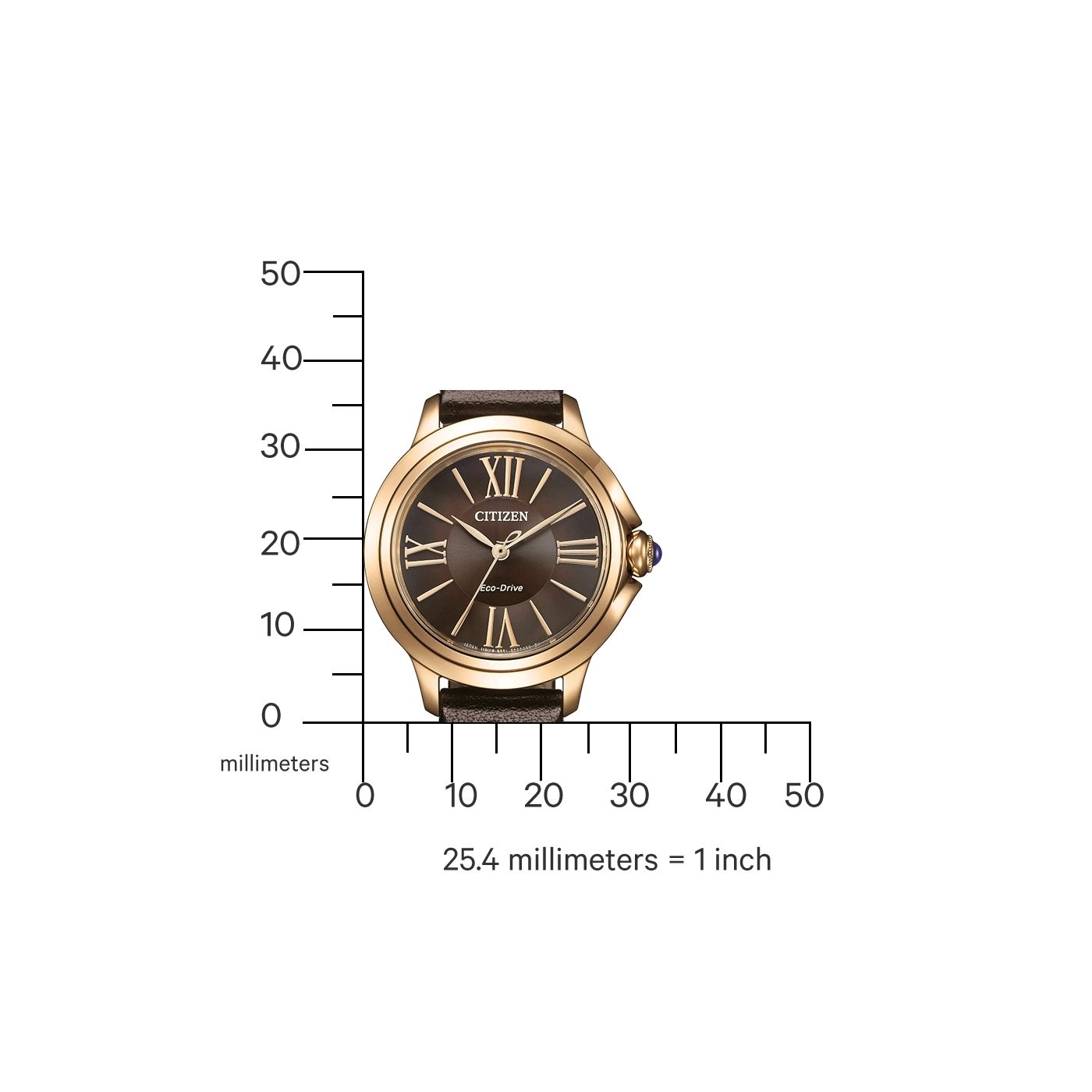 Citizen watch with brown strap and face, gold case, measuring scale in millimeters