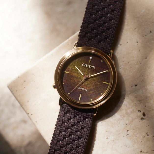 Citizen watch with a brown strap and a golden watch face, Eco-Drive.