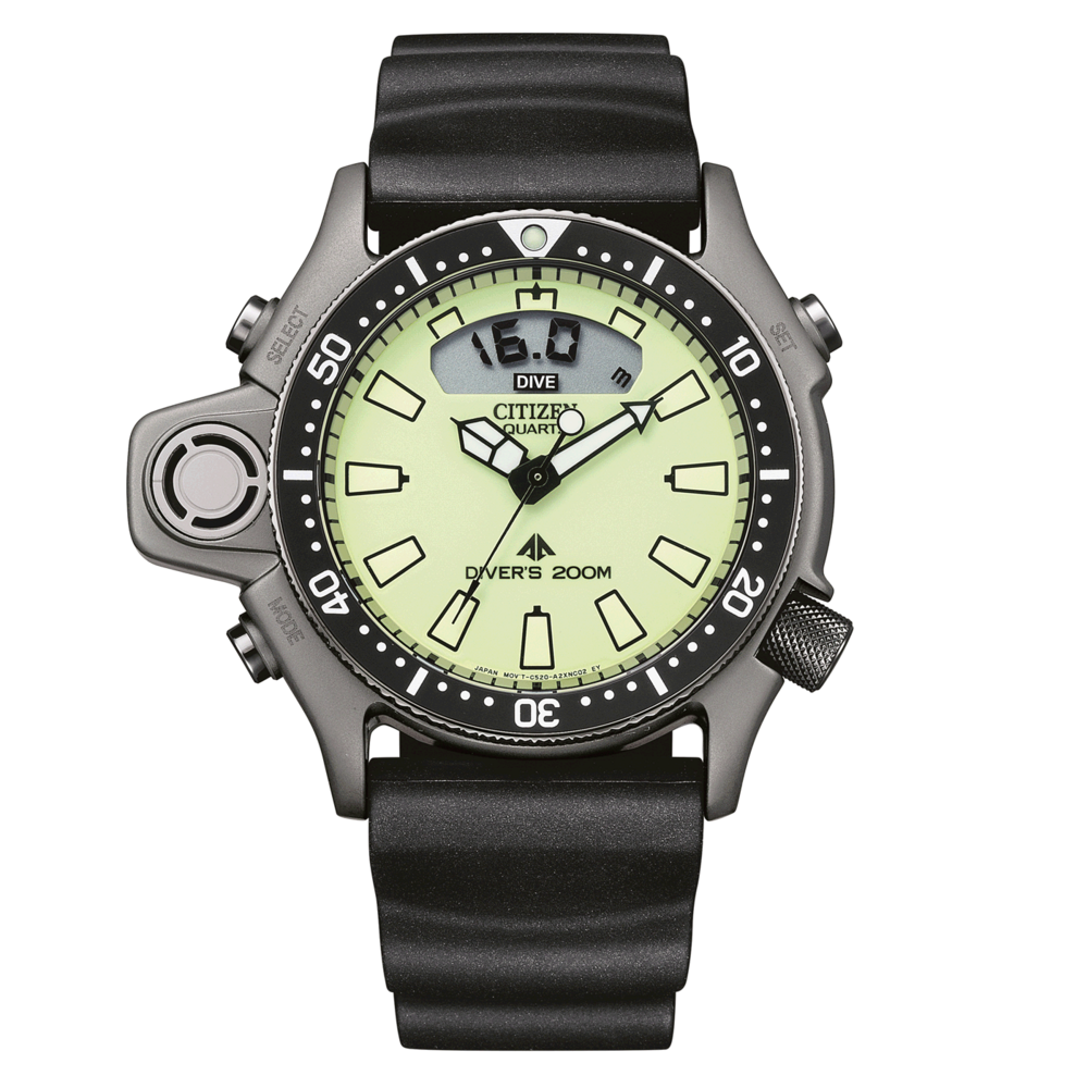 JP2007-17W Promaster Diver