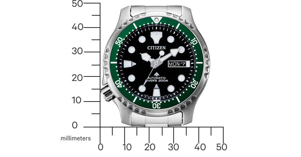 NY0084-89EC Promaster Mechanical Diver Citizen Onlineshop